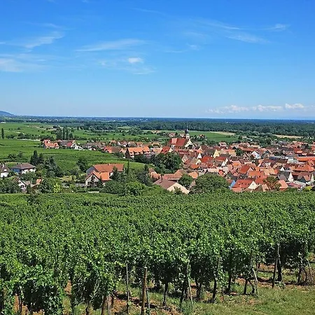 L'écrin D'ingersheim, T2 Neuf&climatisé Proche Colmar Apartment